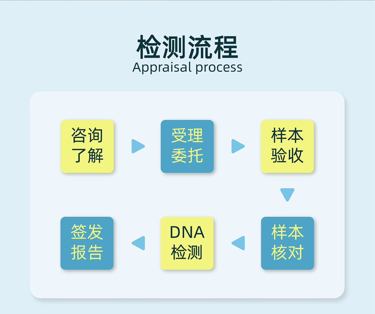 检测流程