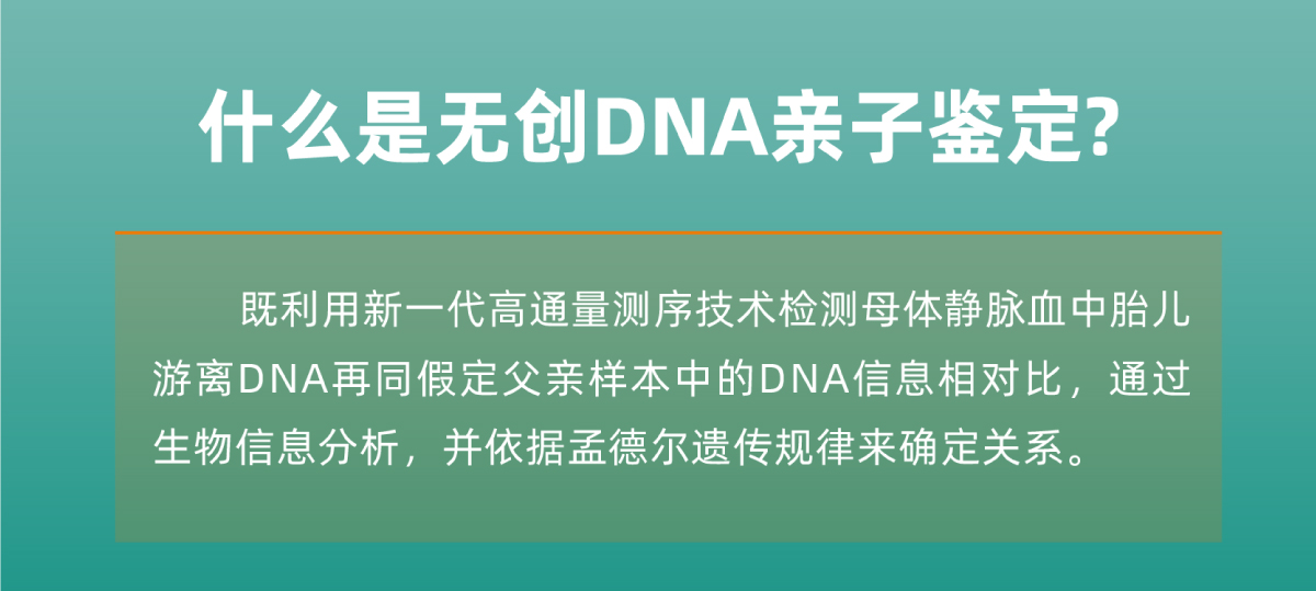 无创DNA亲子鉴定简介