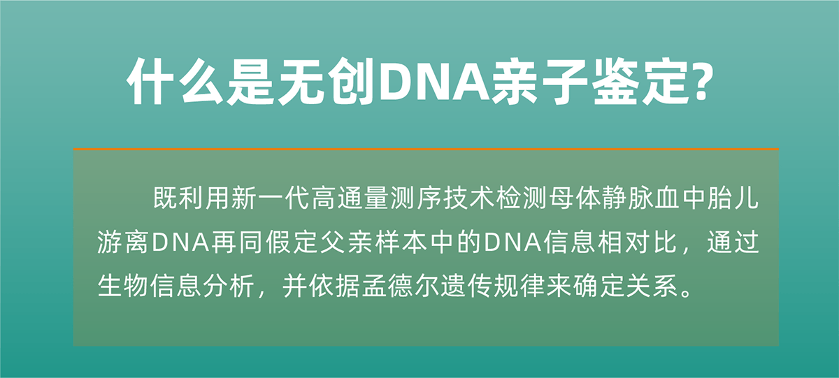 无创DNA亲子鉴定简介